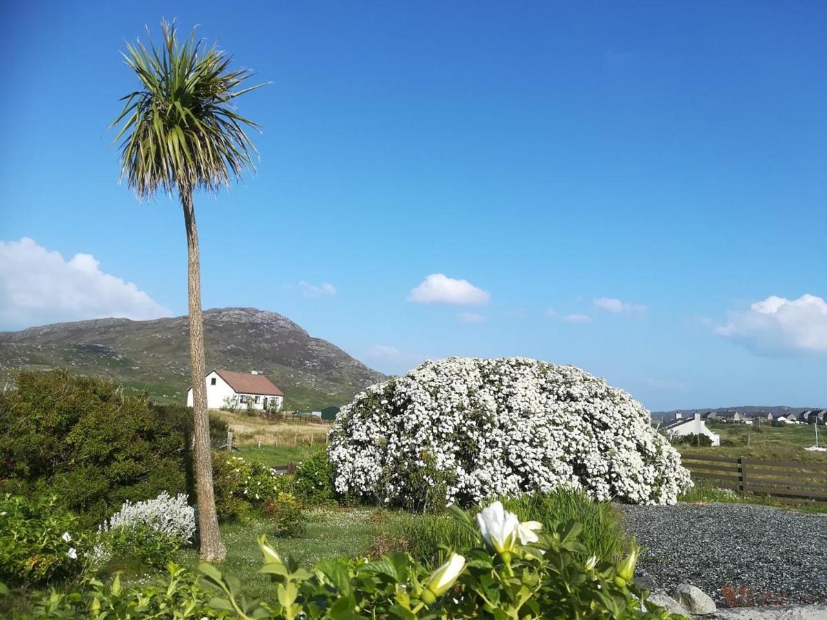 Bed and Breakfast Brae Lea House, Lochboisdale, South Uist. Outer Hebrides Екстер'єр фото